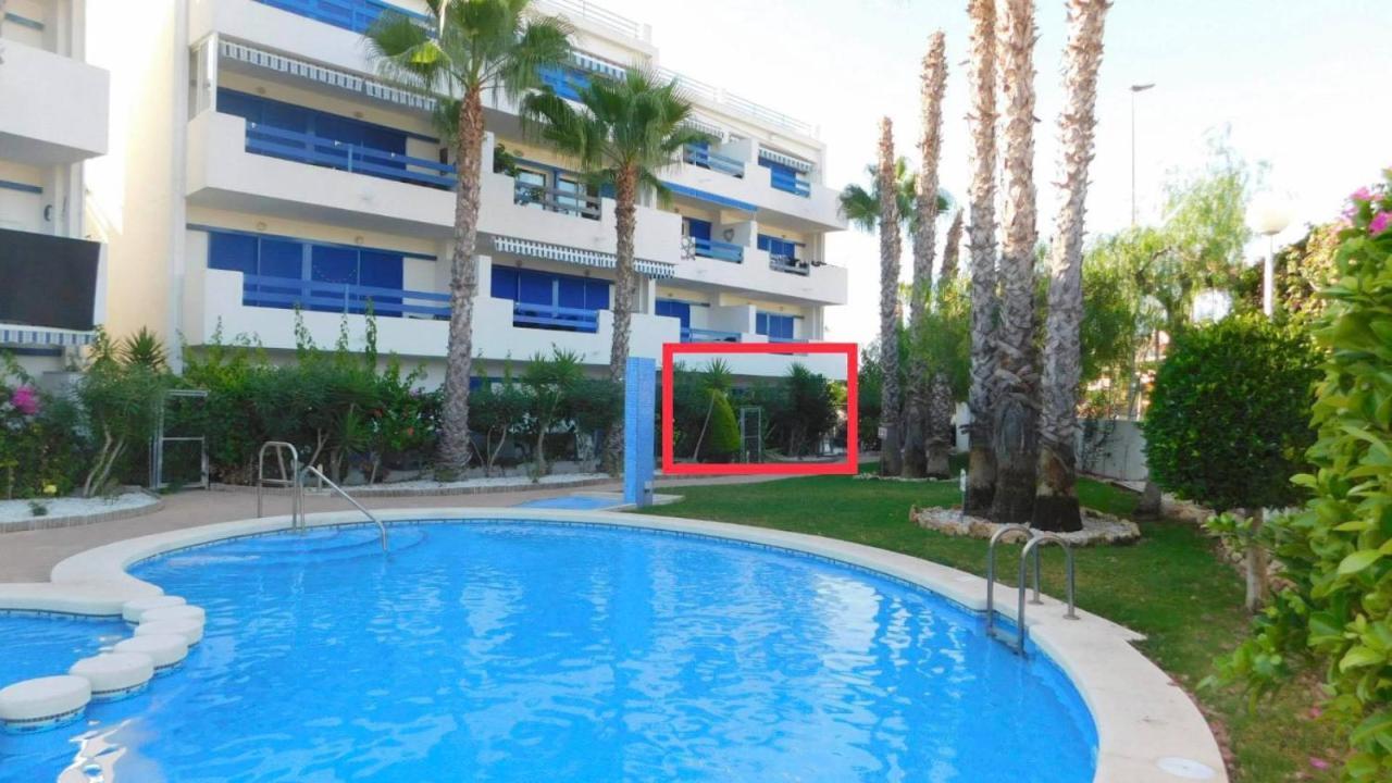 Apartament Coral House - La Calma - Playa Flamenca - Big Terrace & 4 Swimming Pools. Zewnętrze zdjęcie